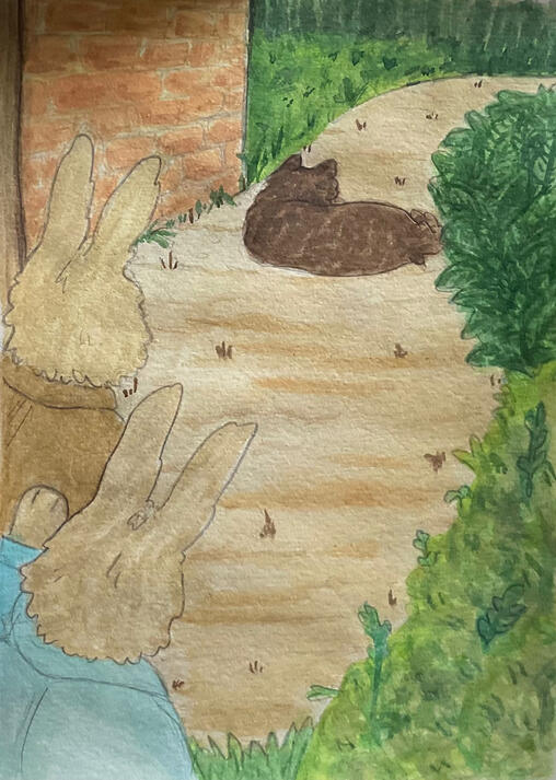 Benjamin Bunny book illustration
