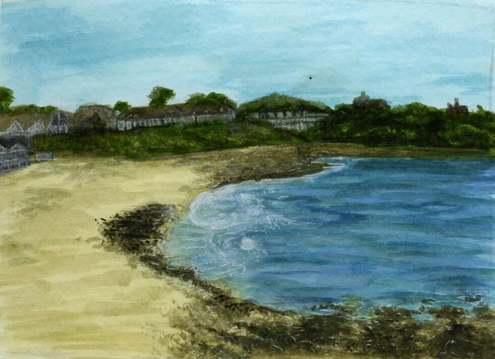 Gyllyngvase beach