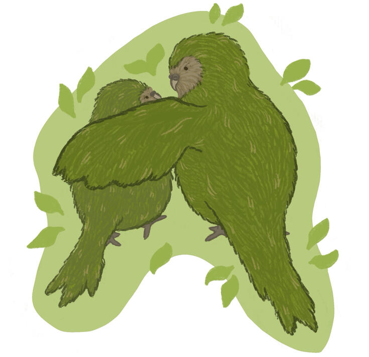 Kakapo editorial