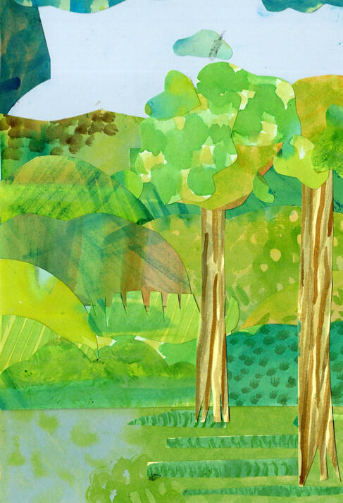 Woodland #2