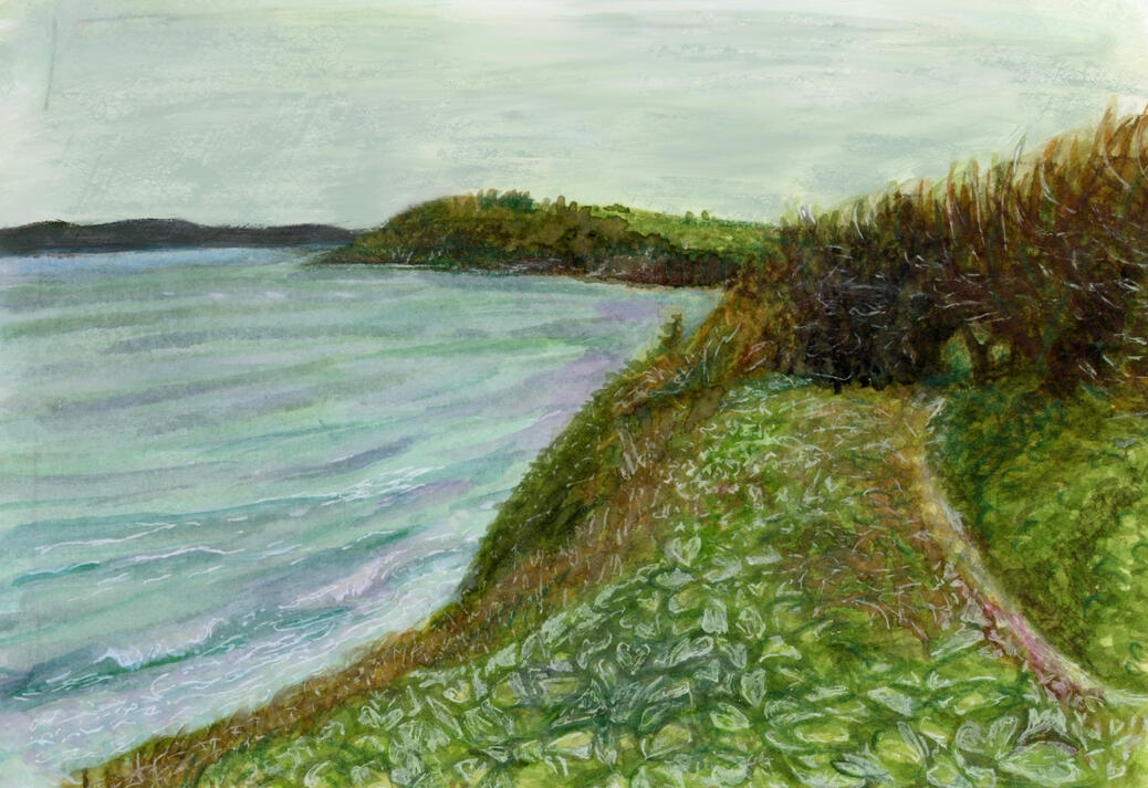 Walk to Swanpool beach